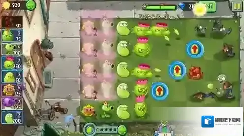 植物大战僵尸2激光豆