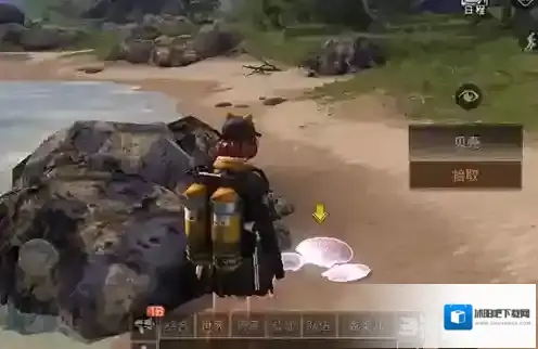 明日之后珍珠在哪里 物品位置攻略