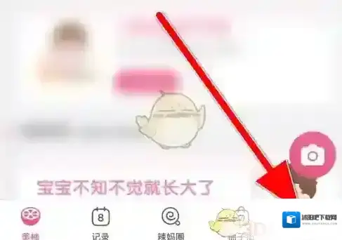 美柚选项