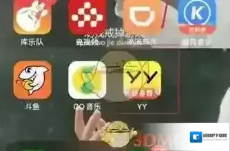YY选项