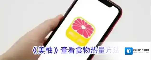 美柚食物热量