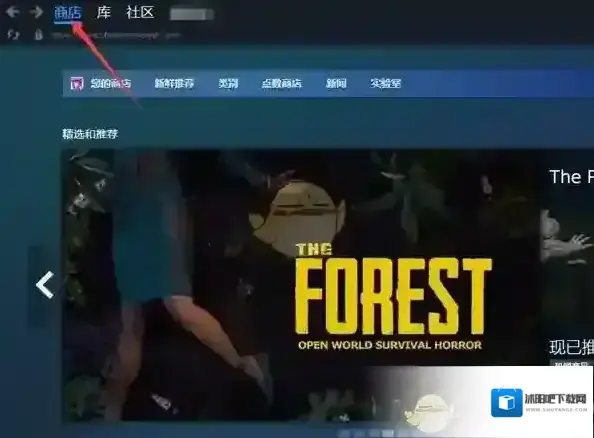 Steam历史记录