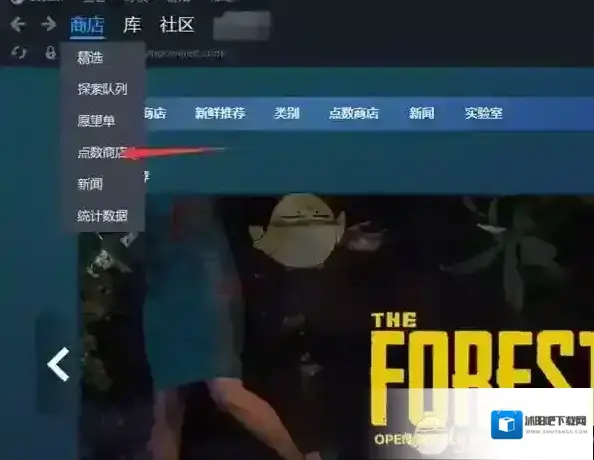 Steam用户