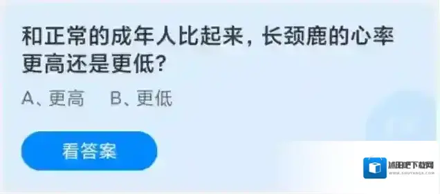支付宝长颈鹿
