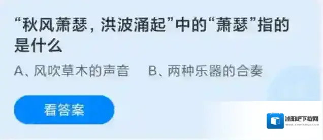 支付宝指的是什么